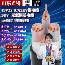 ȼZC-YJV221.8/3KV߉|6KV 3 5оо3X35 95 185ƽ