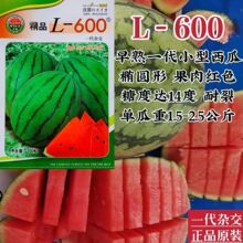 L600ϷNƷԭbһsСϷNѶYƷϷN