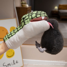 �羳����С�BKIWI�׾S�B���б���ë�q��������m���B��ż�߲�ˇ��