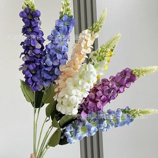��֧���~���w����L�������_�m�ٻ��Ҿӻ�c�b�ˇ�廨�羳���l