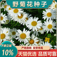 ҰջNҰջNСջNӻN̨ԻܷNӶ