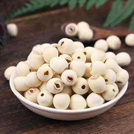 莲子;莲子类;其他药食同源