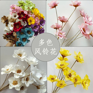 �ֹ����ɻ���K���������y⏻�ins�L�Ҿ��b�ƿ�[����Ȼ����