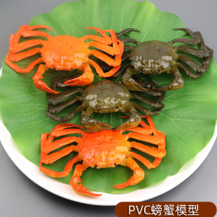 Simulated Hairy Crab Model Male Crab Female Crab Crab Model Yangcheng Lake Hairy Crab Mold Props Artificial Food