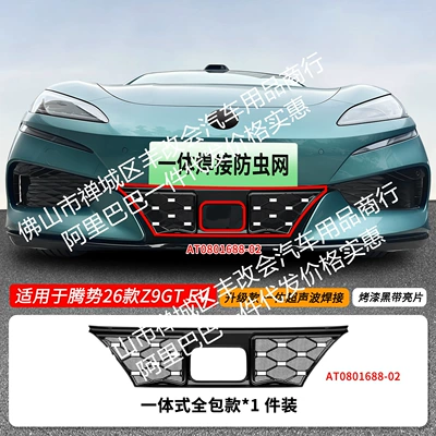 Suitable for Denza Z9GTEV, Automobile anti-insect net - 26-models-of-denza-z9gt-ev-starry-sky-insect-proof-net-one-piece-welded-painted-black