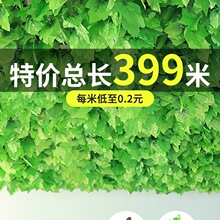 �ٗl�����~�bٻ������ܵ��p�@���پGֲ���픘��~���ϾG�~