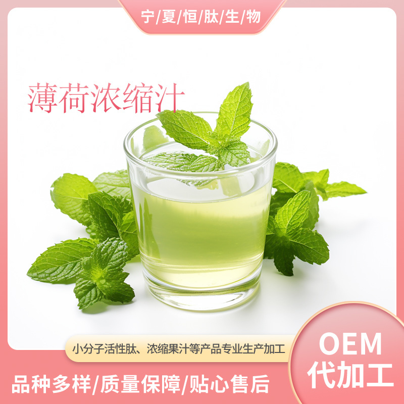 薄荷浓缩汁6.5倍无添加 鲜果浓缩汁系列 现货 SC厂家直发 薄荷汁