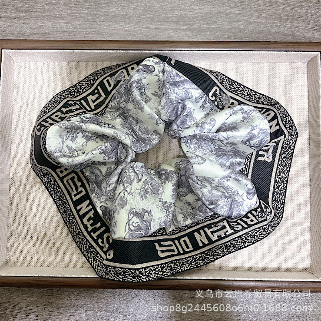 Wide-Brimmed Ribbon Letter Hair Tie D Brand Satin Big Intestine Hair Tie Ponytail Fashion Versatile Hair Rope Hair Accessories Wholesale