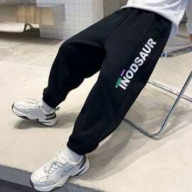 儿童运动束脚休闲裤男童卫裤加厚潮男孩痞帅韩版阔腿裤中大童裤子