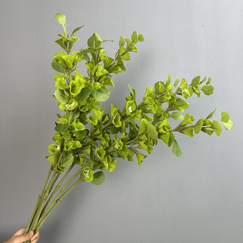 Factory Outlet Long Branch Shell Grass Simulation Leaf Material Bell Flower Money Leaf Floral Landscape Green Planting Flower Artiment Factory Outlet Long Branch Shell Grass Simulation Leaf Material Bell Flower Money Leaf Floral Landscape Green Planting Flower Artiment
