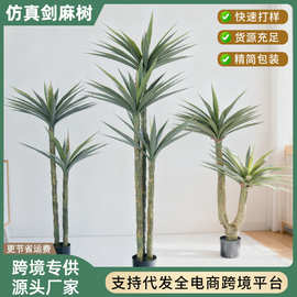 仿真绿植剑麻龙舌兰仿生热带沙漠植物剑兰商场橱窗直播间装饰盆栽