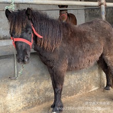 �Ȍ�չ�T��С���R�������U ���^��܇���R ��ͯ�T�˰��_�R���w�Bֳ