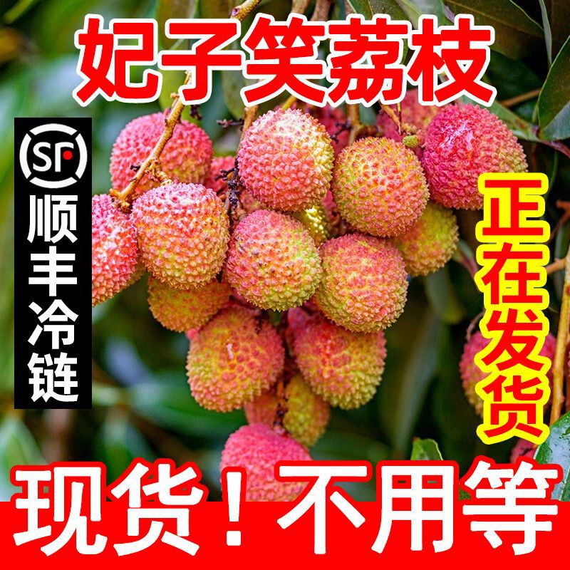 【现货顺丰冷链】妃子笑荔枝海南广东新鲜当季水果2.8/4.5斤整箱