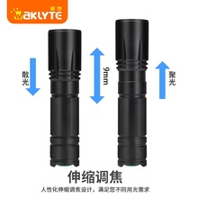 ✅强光户外手电 验钞uv紫光395nmLED紫外线灯 白紫双光源手电