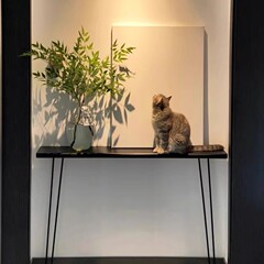 北欧实木进门极窄玄关台玄关桌靠墙条几案几铁艺入户超窄走廊桌子