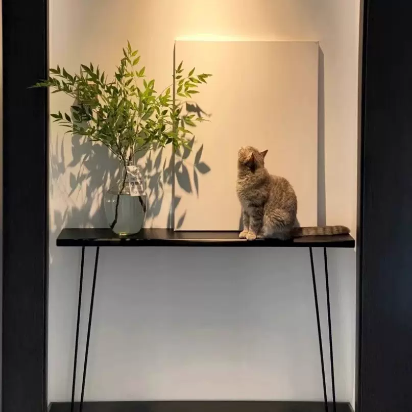 北欧实木进门极窄玄关台玄关桌靠墙条几案几铁艺入户超窄走廊桌子