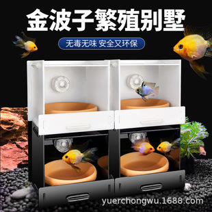 Jinbozi Breeding Plate Bracket Bracket for Short Bream Avatar Breeding Villa with Sucker for Fan Shell Ceramic Plate