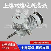 台湾精品 TECO东元防爆电机 EXd II BT4  CT4气体防爆三相电动机