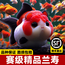 �����m�۽��~�^�p�~���ͻ���ˮ�Ꭷ���w����С�͵�ˮ���B�\���ݽ�