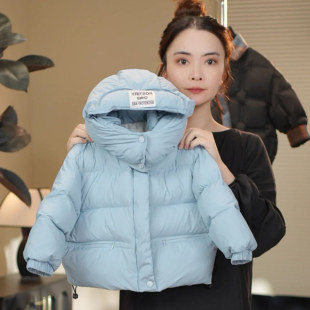 Children's Down Jacket 2024 New Winter Boys' Western Style Thickened Warm Hooded Bread Clothing Baby Girl Coat
