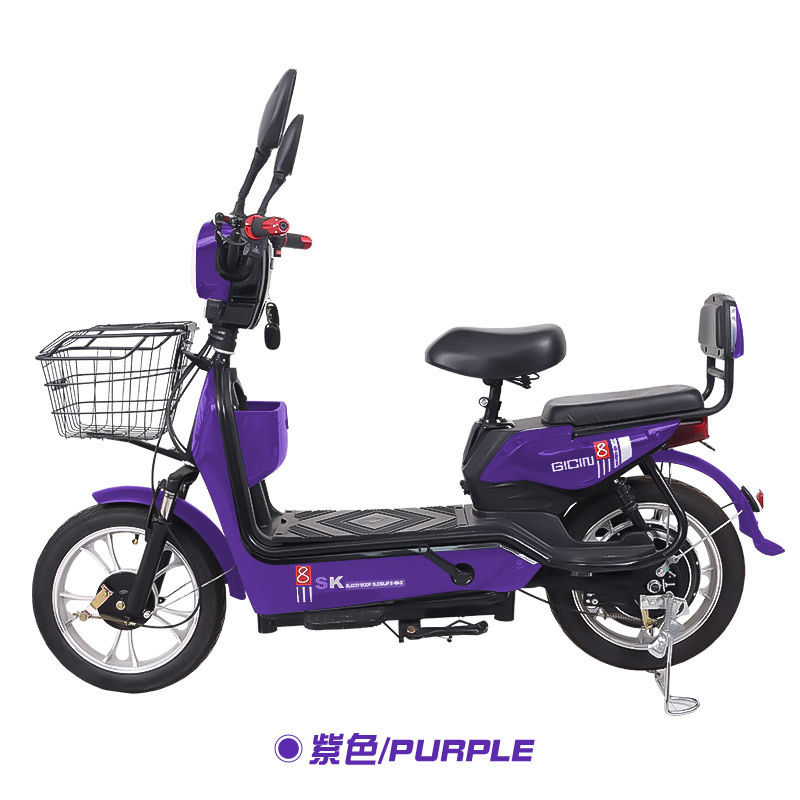 Mayorista de dos ruedas adultos larga duración transfronterizos adultos viajeros doble bicicleta eléctrica bicicletas coche de batería