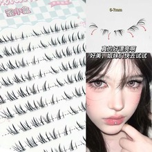 蜜小盒猫须浓密下睫毛新手单簇精致嫁接感纯欲日常仿真手绘假睫毛