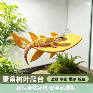 ������̨�䗫�͘��ܽ޽��،m����ֲ���������~��Ϣ�Ҹ��C���lGL
