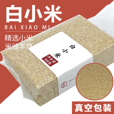 鹤来香白小米500克新货小米粥香糯粘稠早餐五谷杂粮粥批发散装|ru