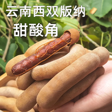 南滋味酸角500g/袋西双版纳特产新鲜甜角酸角云南带壳休闲零食