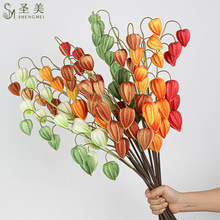 WPUС֦6^\Ҿӿ͏dƵܛbc[