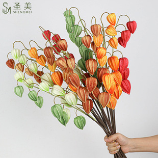 ����������WPUС֦6�^���\���Ҿӿ͏d�Ƶ�ܛ�b��c�[�����