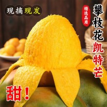 �Ĵ��P��â���y��������ˮ���P��â���]�a��ֱ�lˮ��â��һ�����l