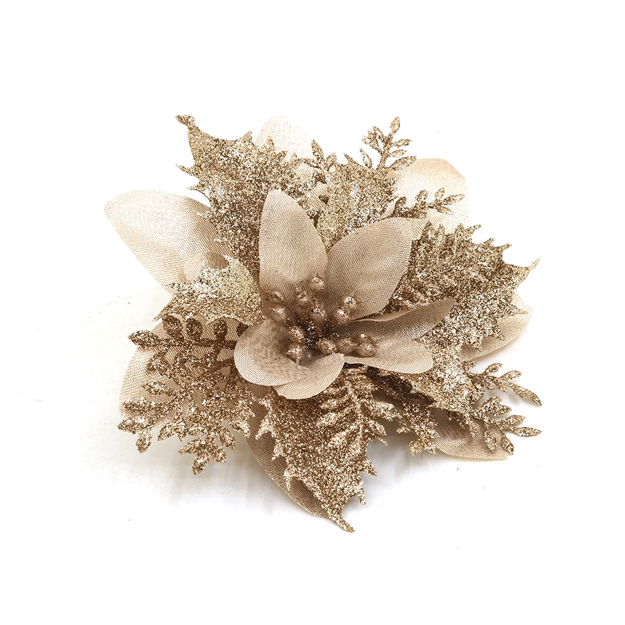 Champagne color