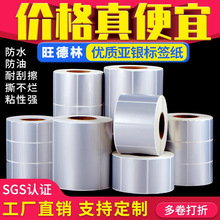 亚银不干胶标签消银龙撕不烂耐高温防腐蚀哑银pet不干胶标签定做