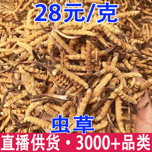 ���x�Ĳ� �x�� ���������x�� �����x�� �S���x�����l���l