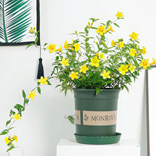 ������������ˮ�����������پGֲ����ֲ���҃��̨�ͺ�ͥԺ���l