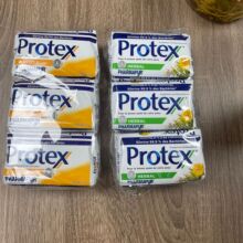 PROTEX ���Q��������������