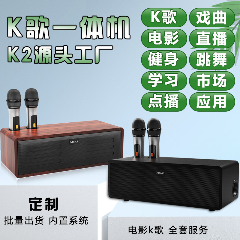Radio inalámbrico KTV doméstico en un nuevo micrófono de sonido K canto micrófono de sonido fábrica de canto