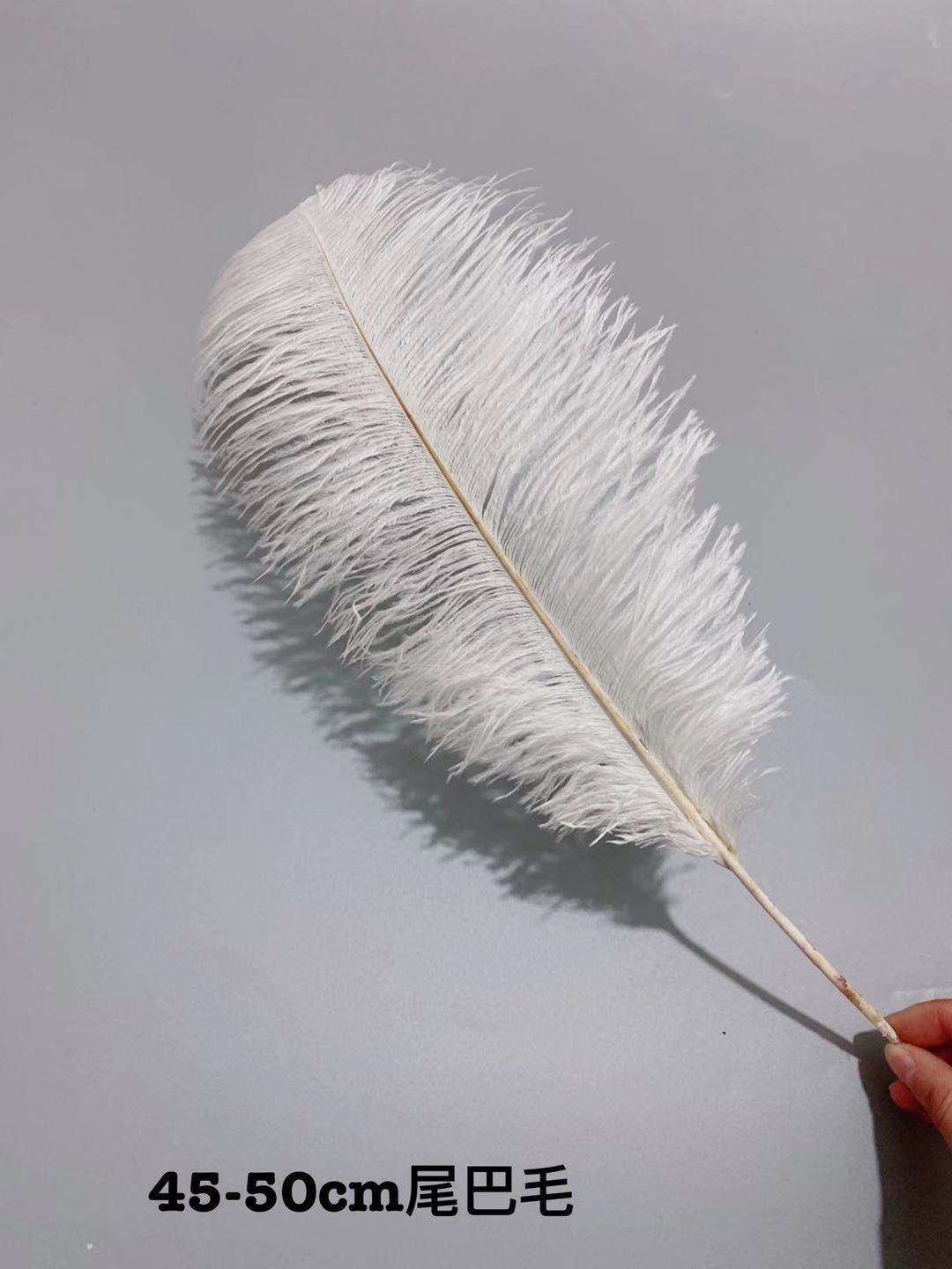 09795ffc4637911bfd86655c8d7d2e