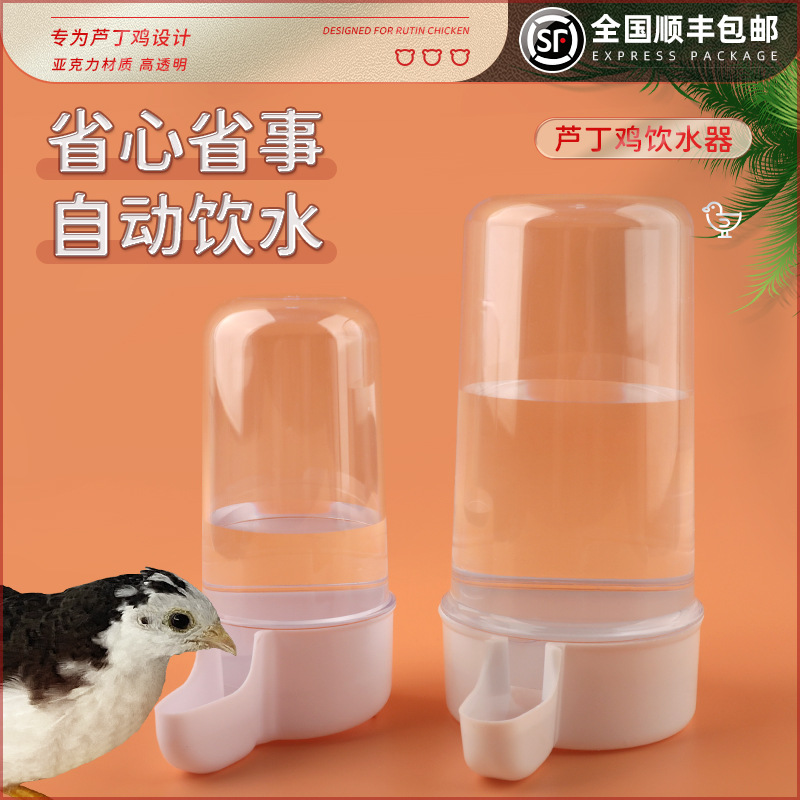 芦丁鸡喂食器水壶饮水器喂育雏鸡水器喝水器食盒鹦鹉小鸟鸽子水槽
