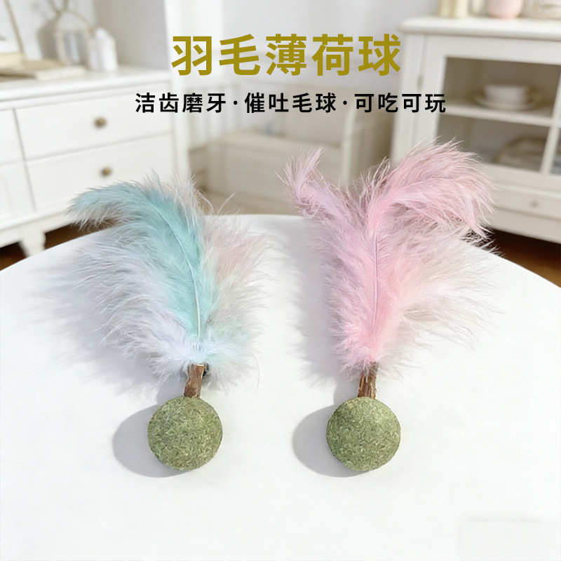 Pluma Bola de menta de gato Juguete de bola de menta Menta de gato