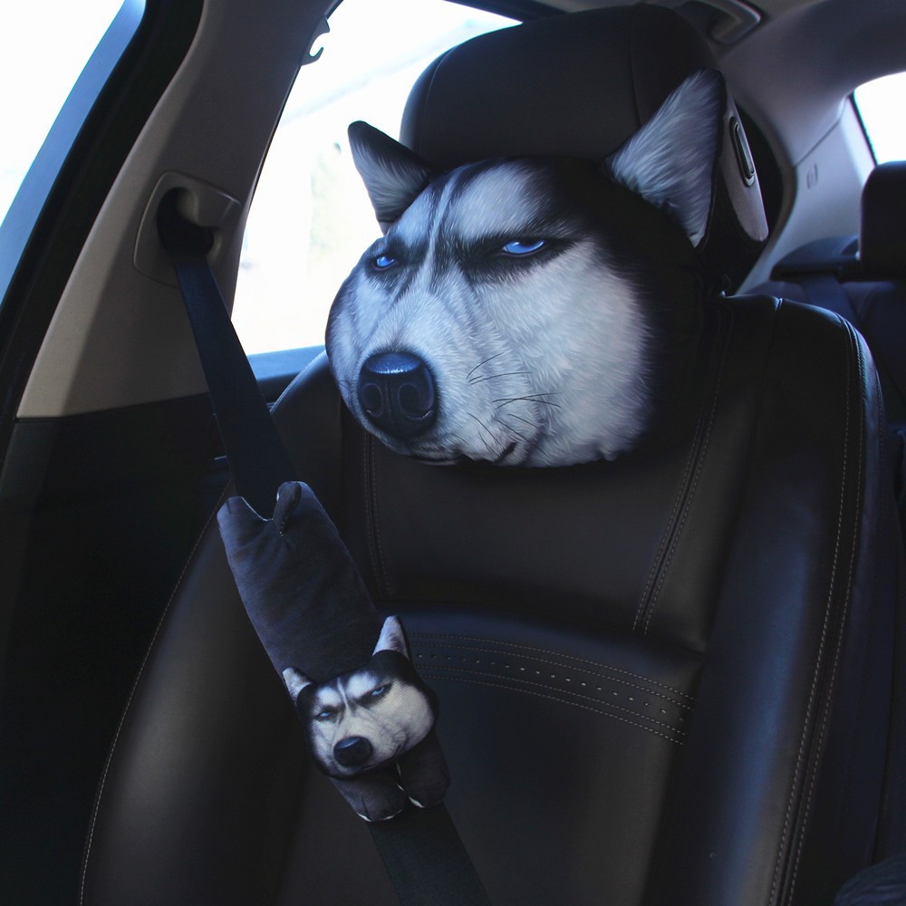 B model contempt Husky