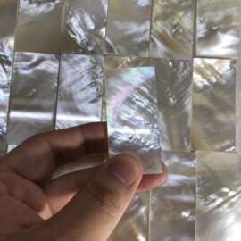 天然白蝶贝片贝母 白珍珠母贝片 刀柄镶嵌厚片 家具装饰贴片