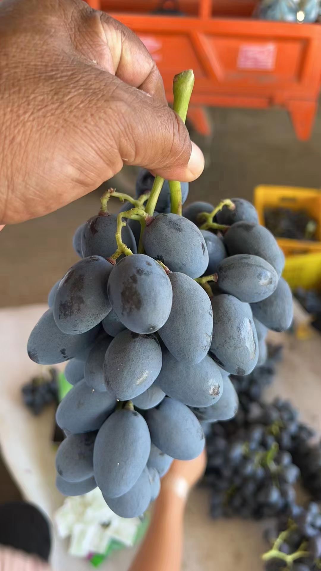 微信图片_20240804200725