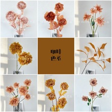 ɫϵ滨ıYüٻ·Sl羳