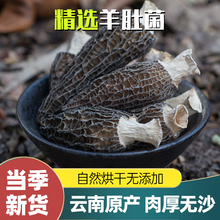 羊肚菌干货羊肚菇非新鲜菌菇蘑菇菌菇类云南特产炖汤煲汤食材500g