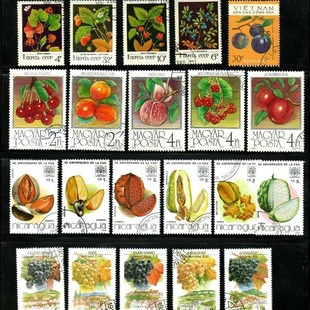 50 видов фруктов не повторяют 50 различных видов марок фруктов, винограда, арбуза манго и других подлинных продуктов