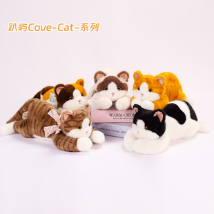 �������ſ�ZCove-Cat-ϵ���w���≺�ɰl��ż����ë�q��߲���