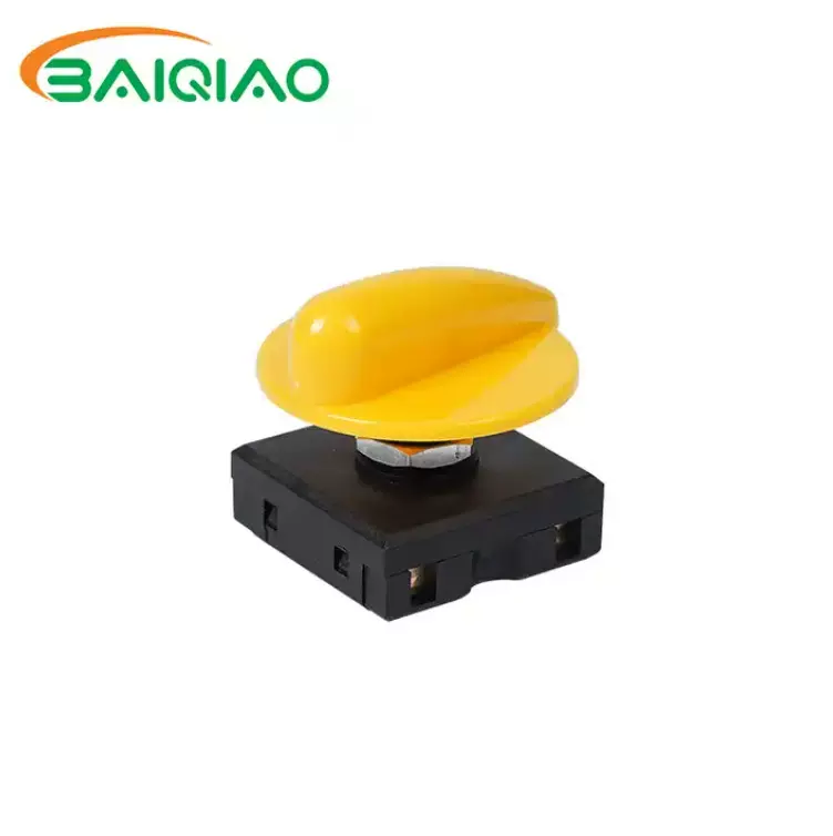 BX2旋转开关Baiqiao旋扭开关3档旋转开关10A榨汁机搅拌机旋转开关