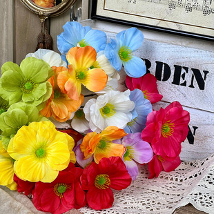 4�^���������滨��c������피��b�[�ɭϵ�����m����ٻ����l